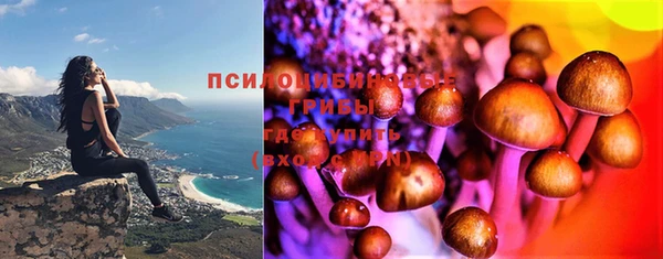 СК Козловка